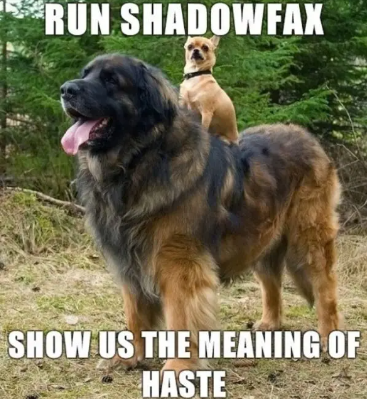 1698857027366.png