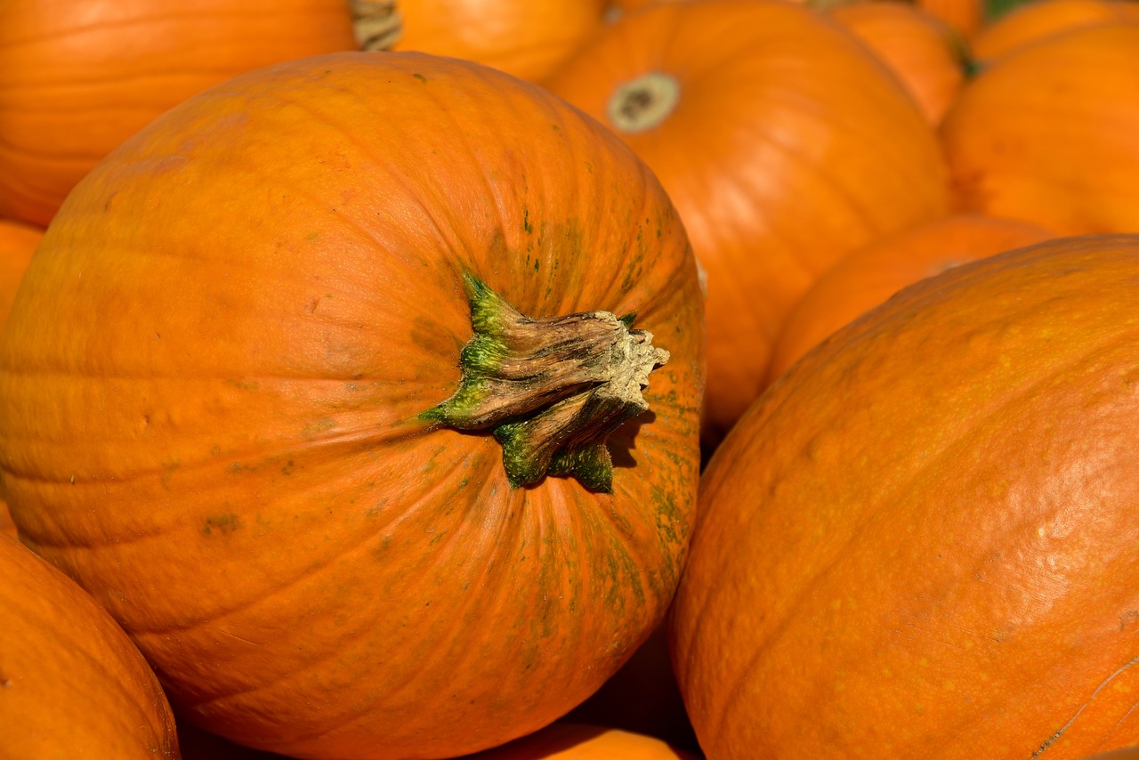 pumpkins-3636243_1280.jpg