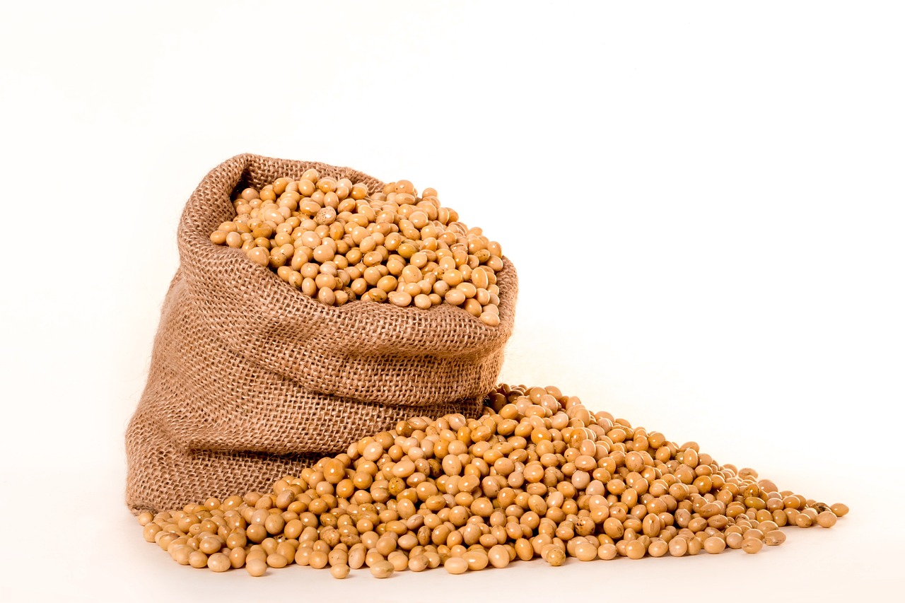 soybeans-2039642_1280.jpg