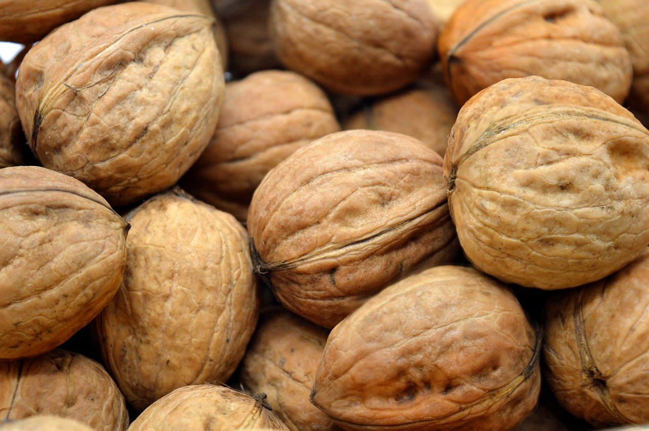 walnuts-8316999_1280.jpg