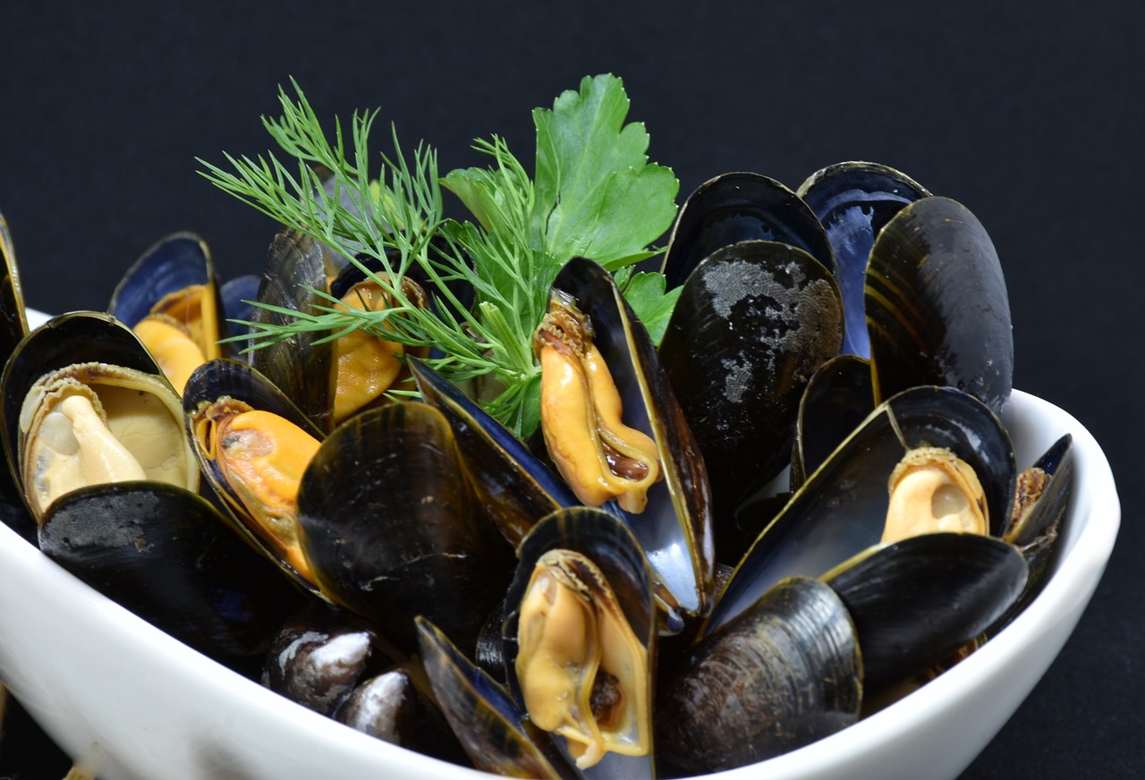 shellfish-3148429_1280.jpg