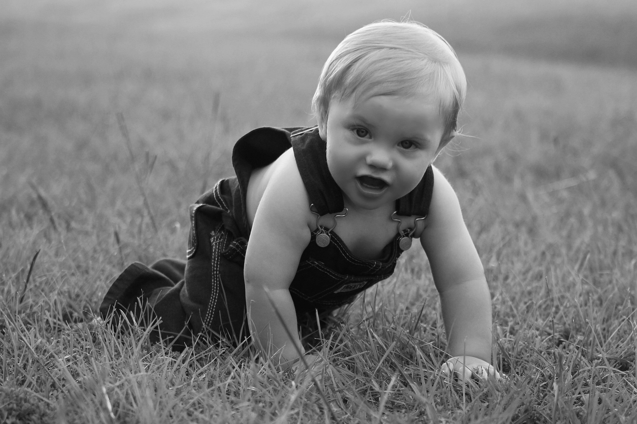 baby-390541_1280.jpg