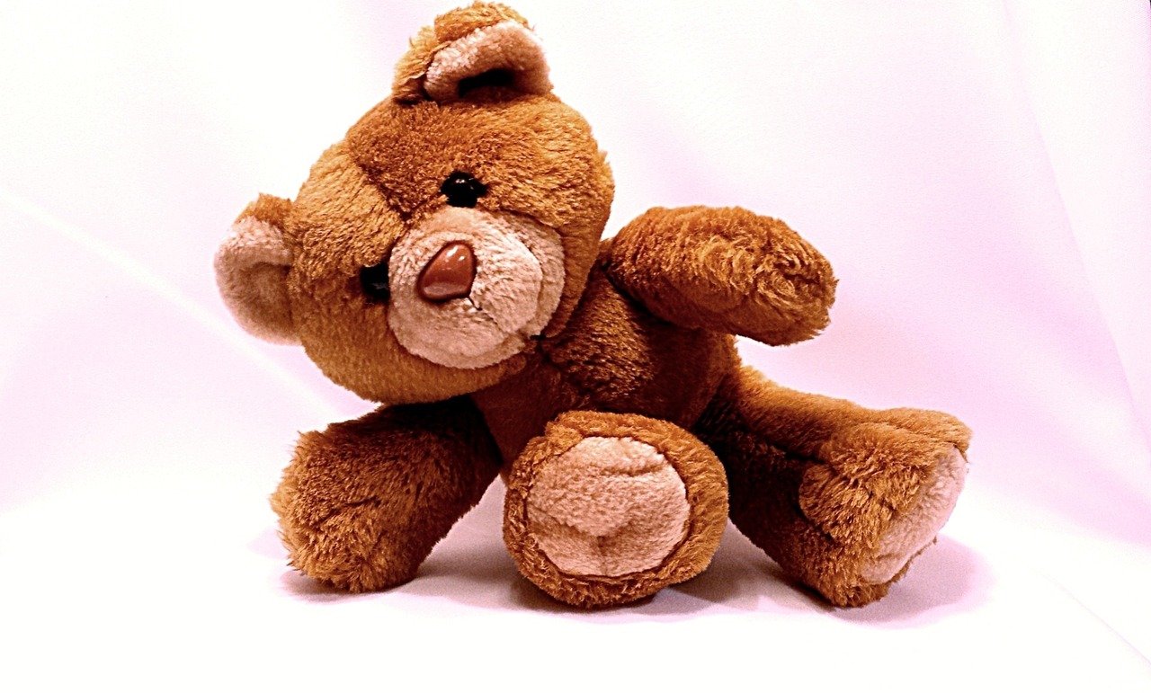 bear-678606_1280.jpg