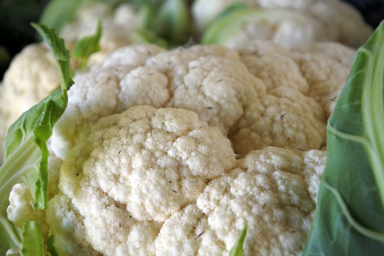 cabbage-976496_1280.jpg