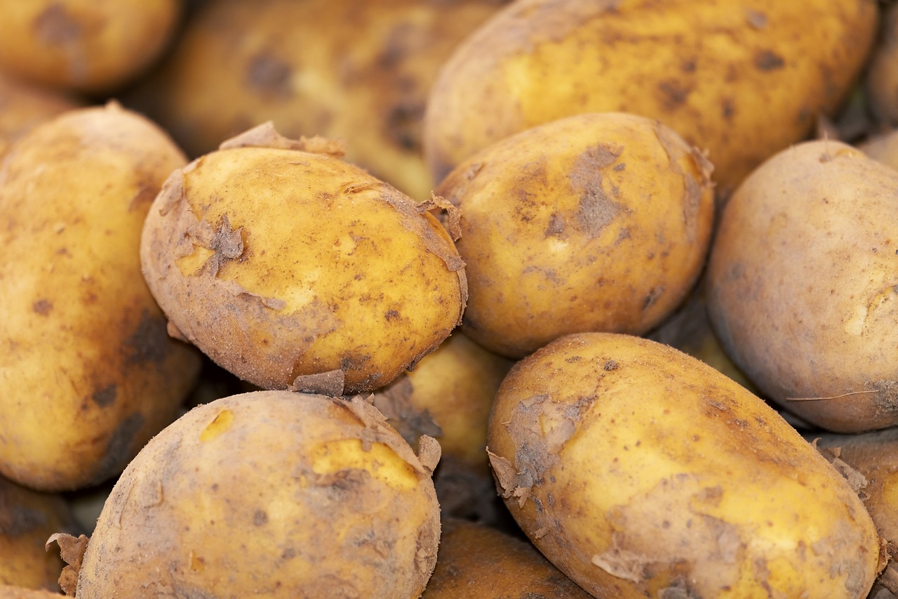 potato-3440360_1280.jpg