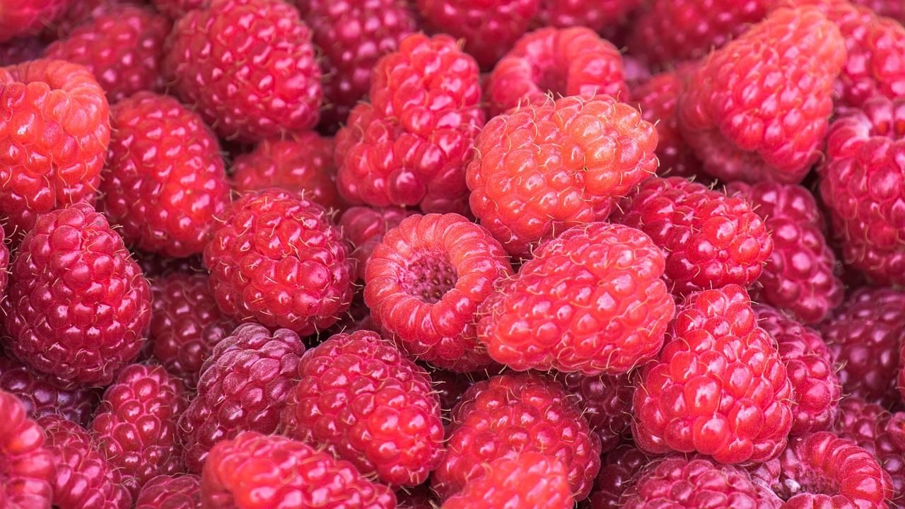 raspberries-3583005_1280.jpg