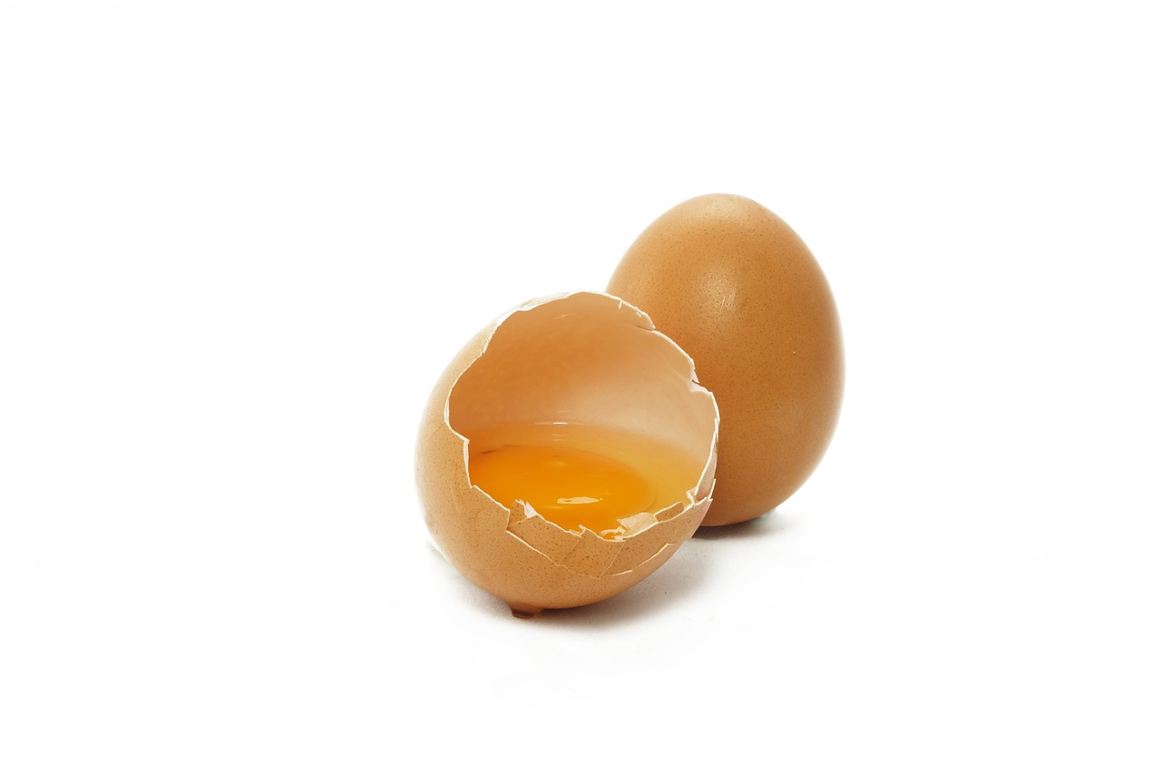 egg-2796898_1280.jpg