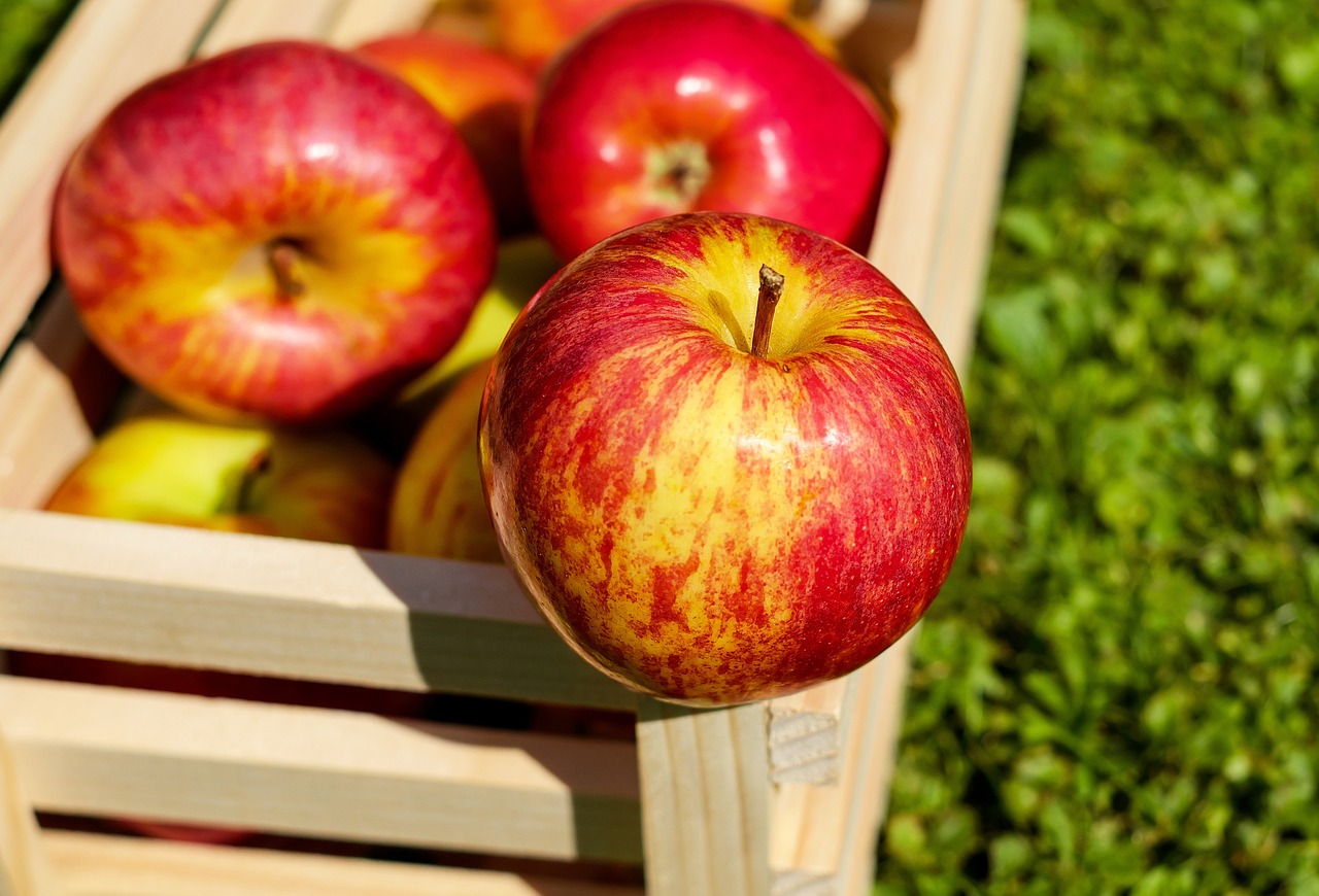 apple-1589874_1280.jpg