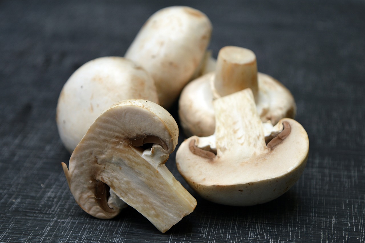 mushrooms-2044114_1280.jpg