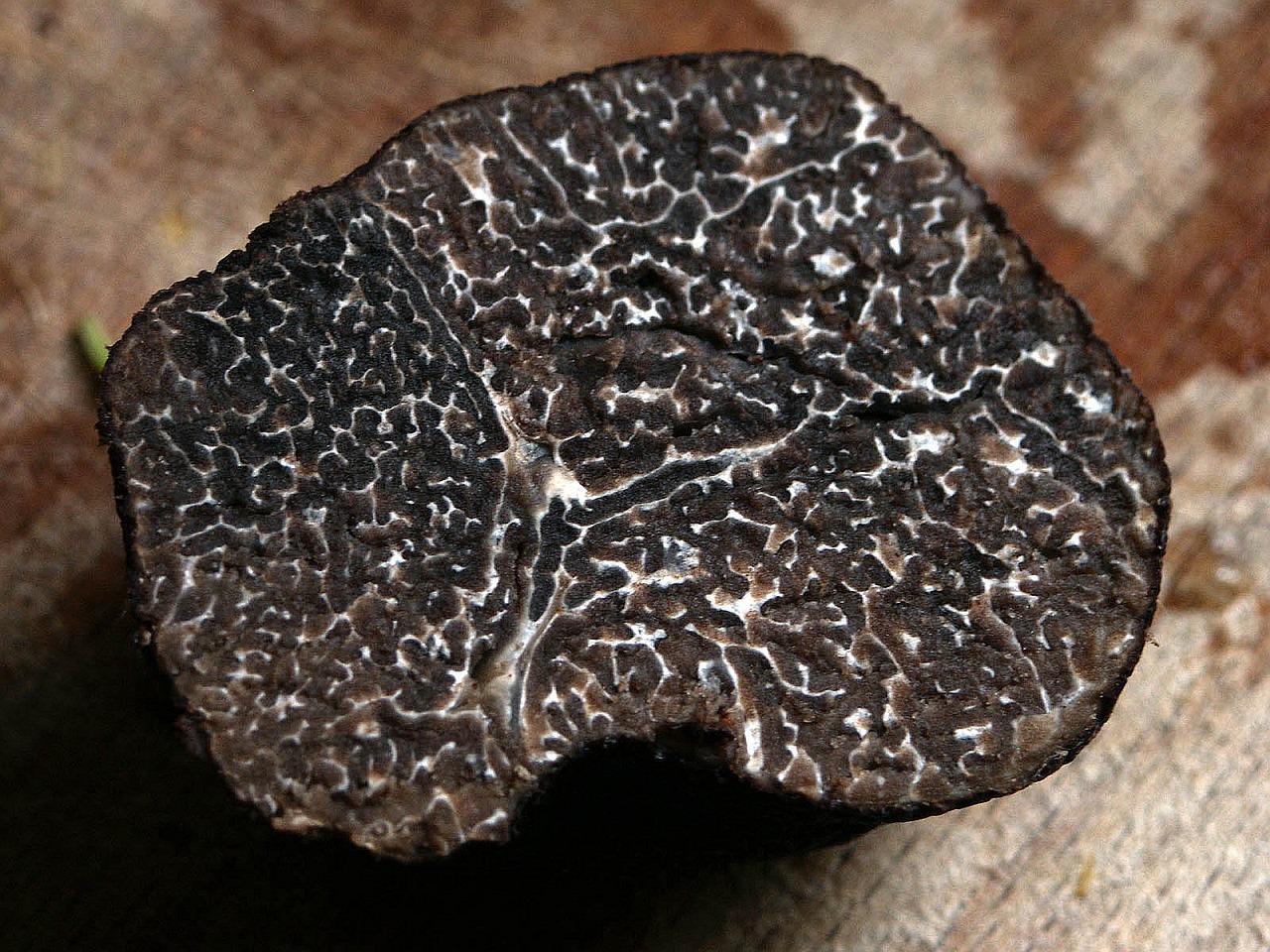 winter-truffle-203032_1280.jpg