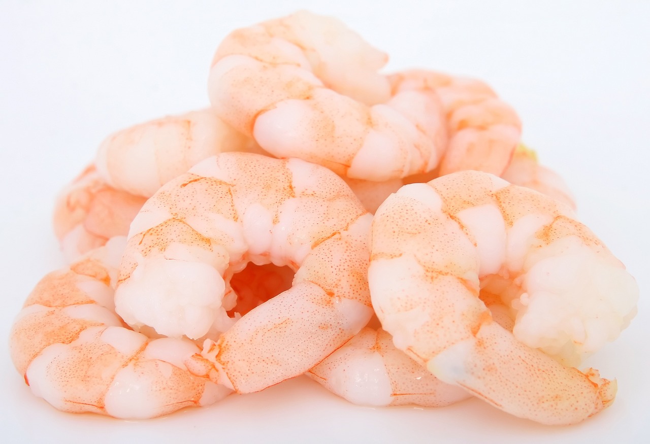 prawns-1239307_1280.jpg