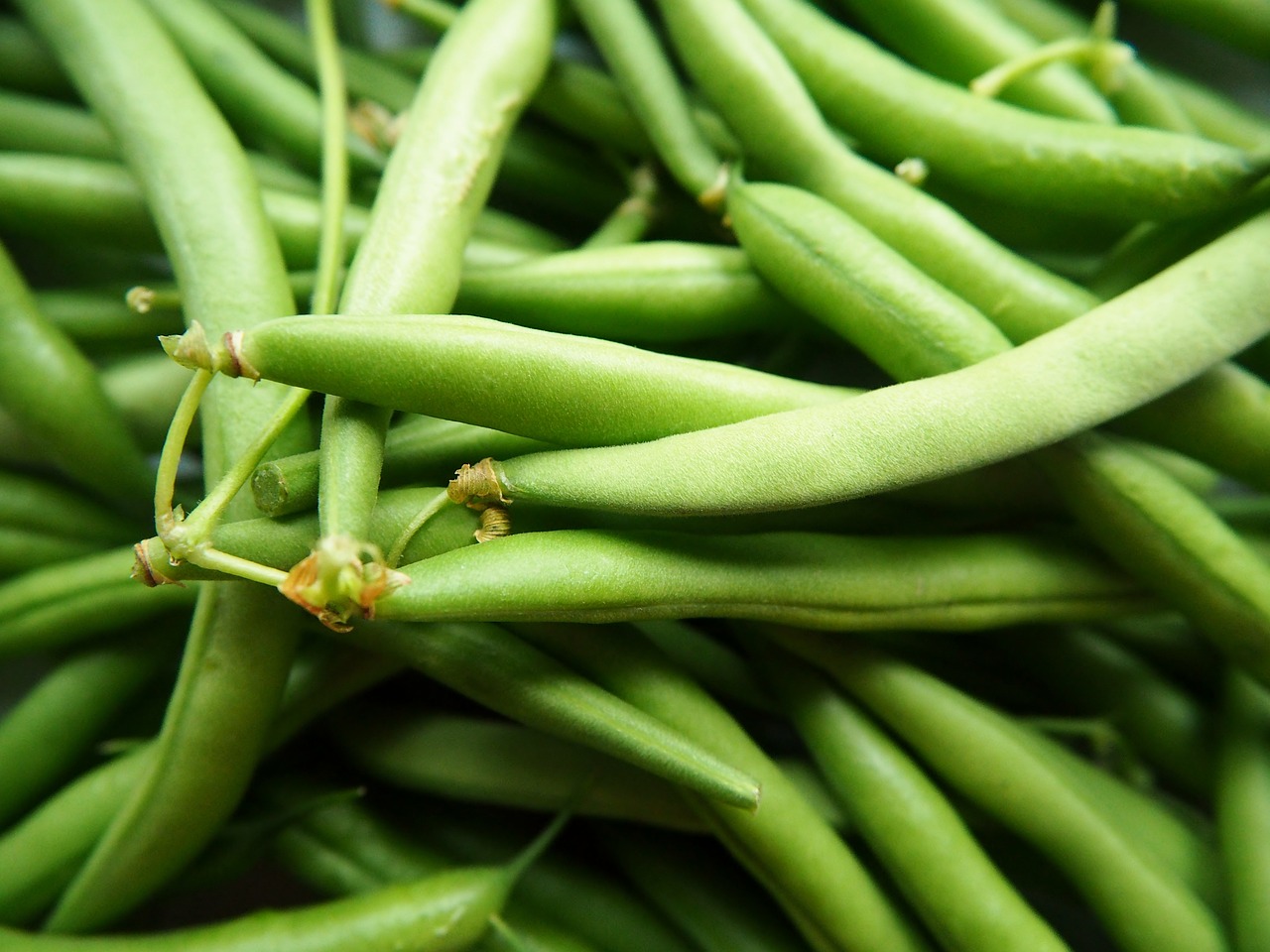 green-beans-2707996_1280.jpg