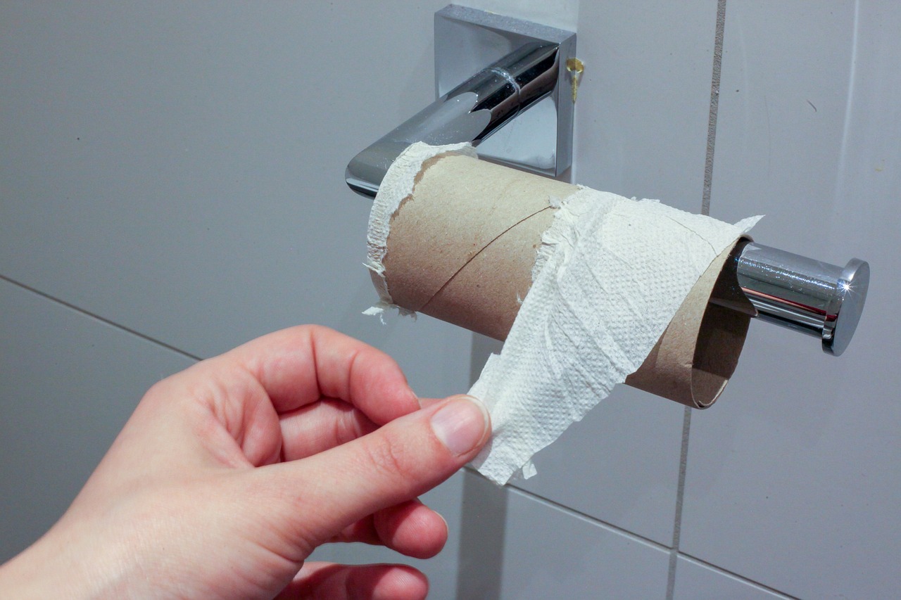 toilet-paper-4941765_1280.jpg
