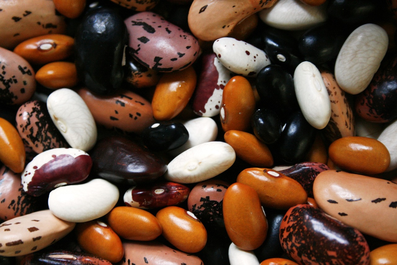 beans-1001032_1280.jpg