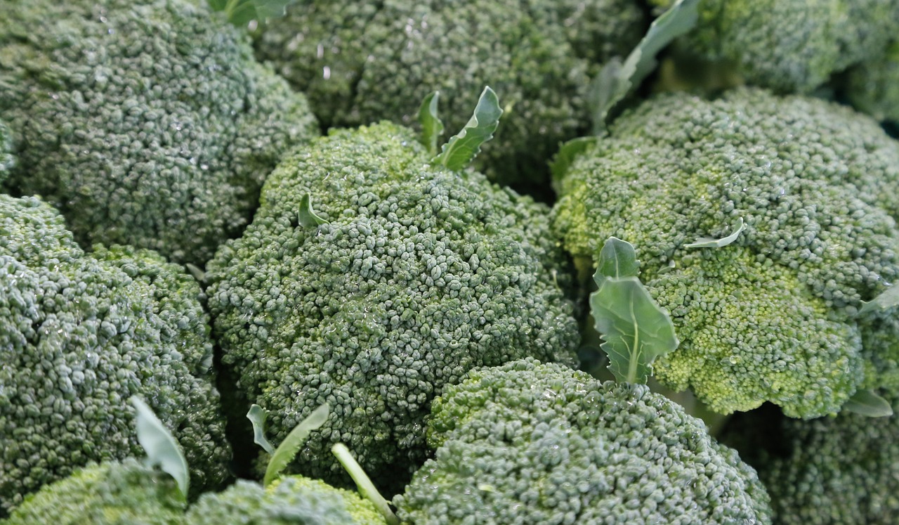 broccoli-1076652_1280.jpg