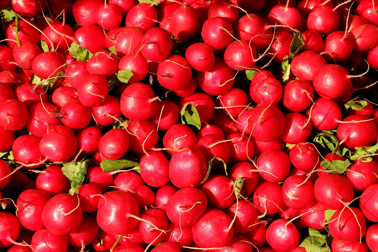 radish-1623915_1280.jpg