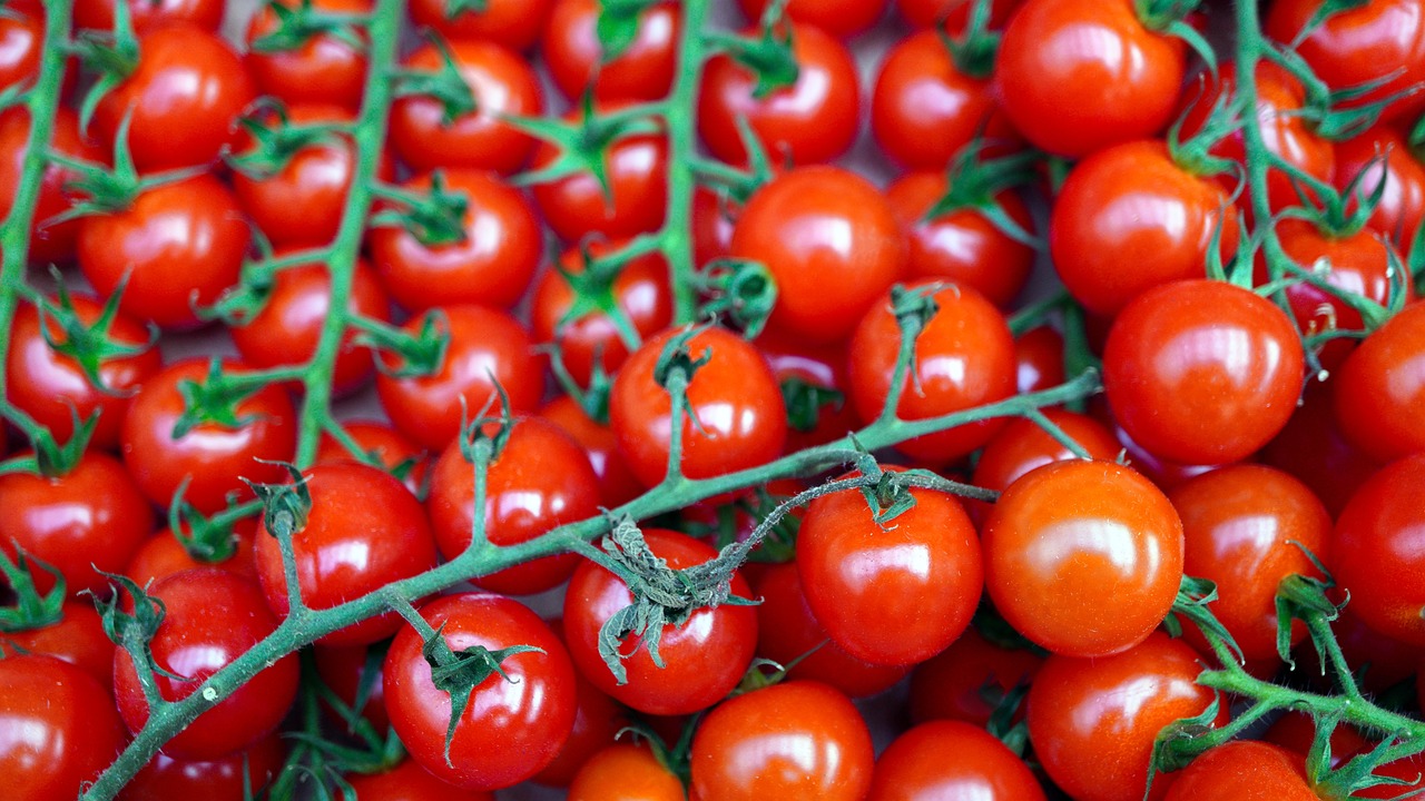 tomatoes-5962215_1280.jpg