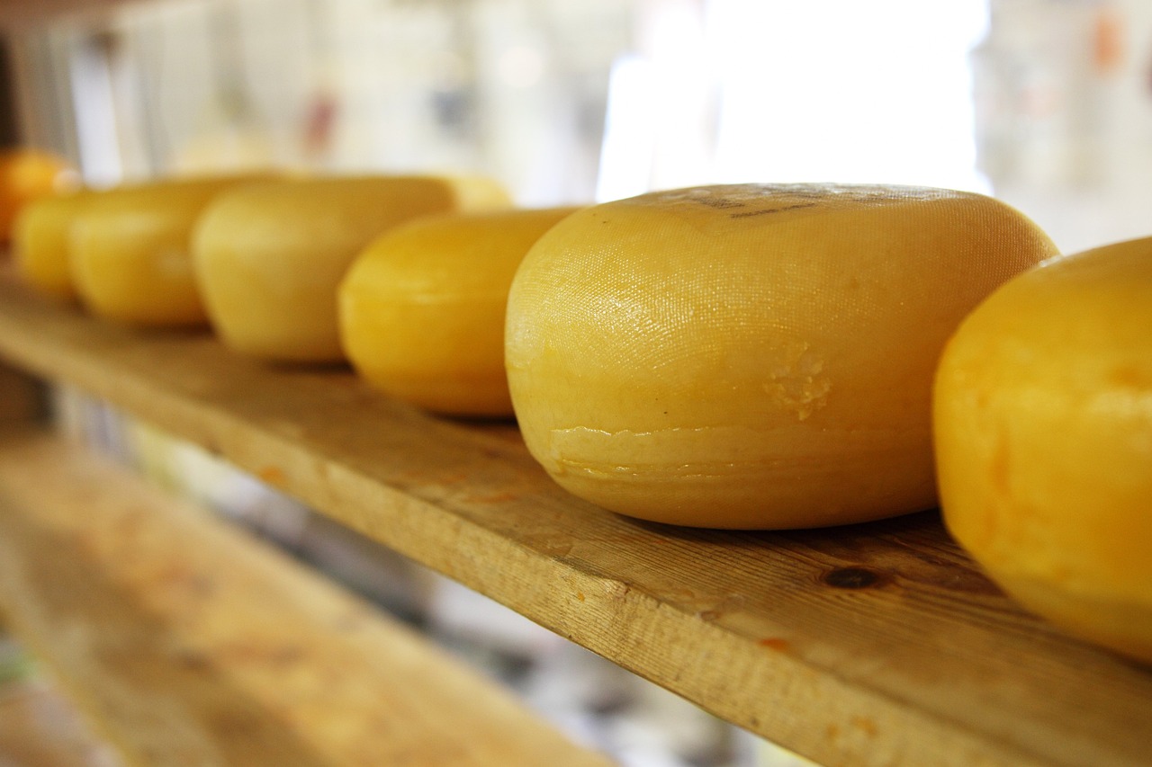 cheese-2785_1280.jpg