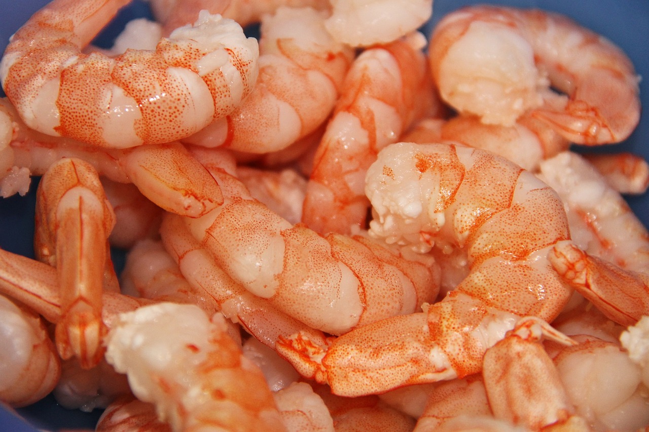 shrimp-3560003_1280.jpg