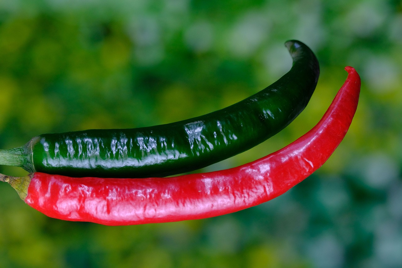 chili-peppers-6620005_1280.jpg