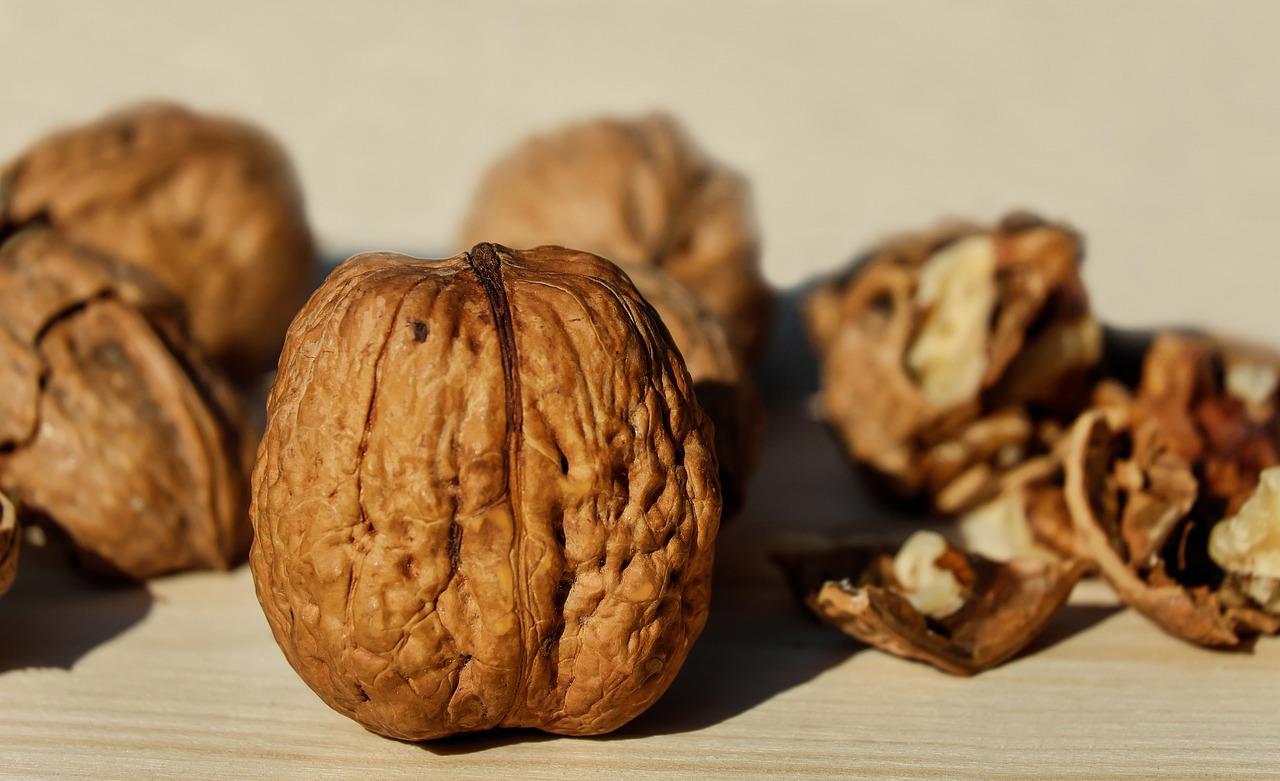 walnuts-1739021_1280.jpg