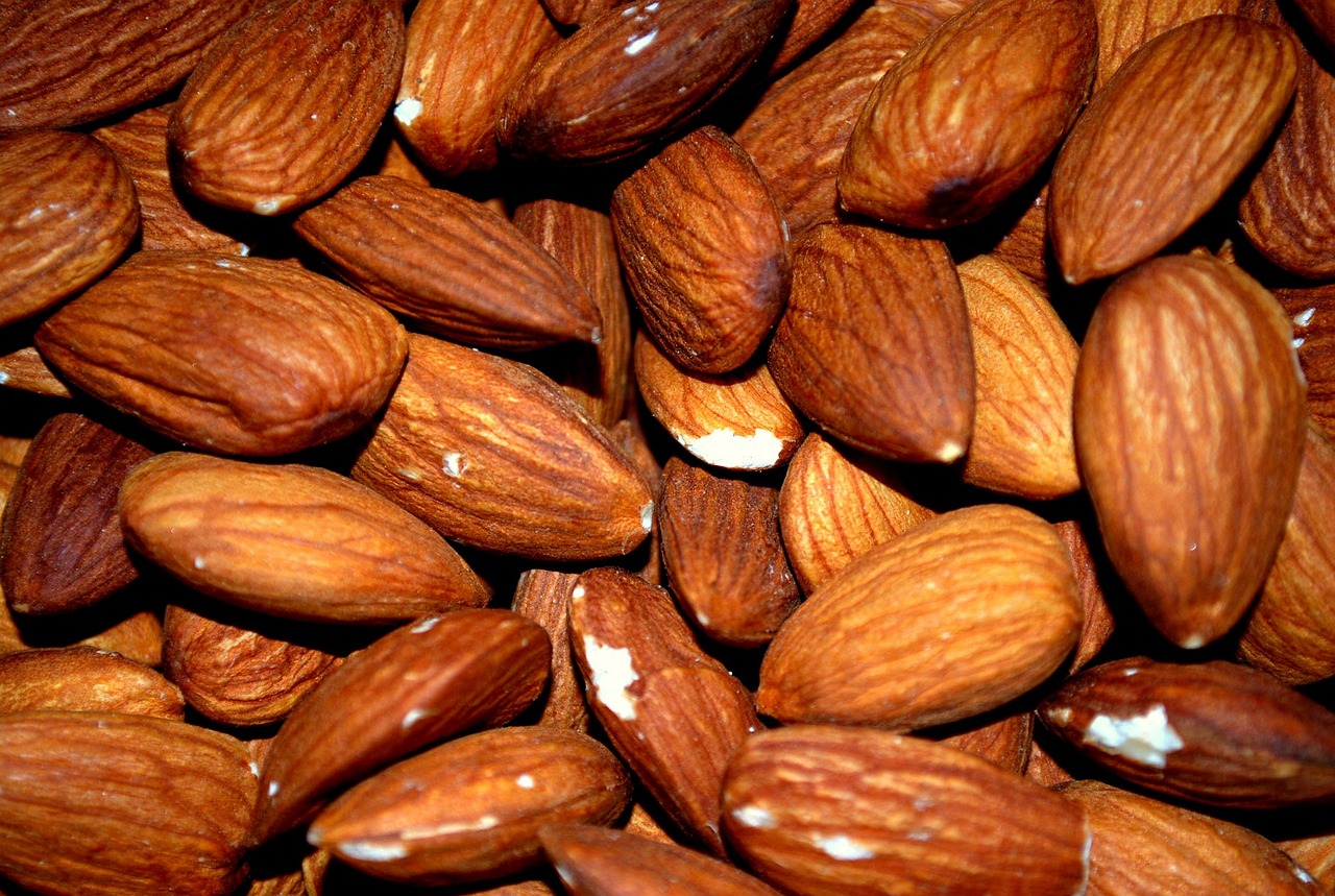 almond-83766_1280.jpg