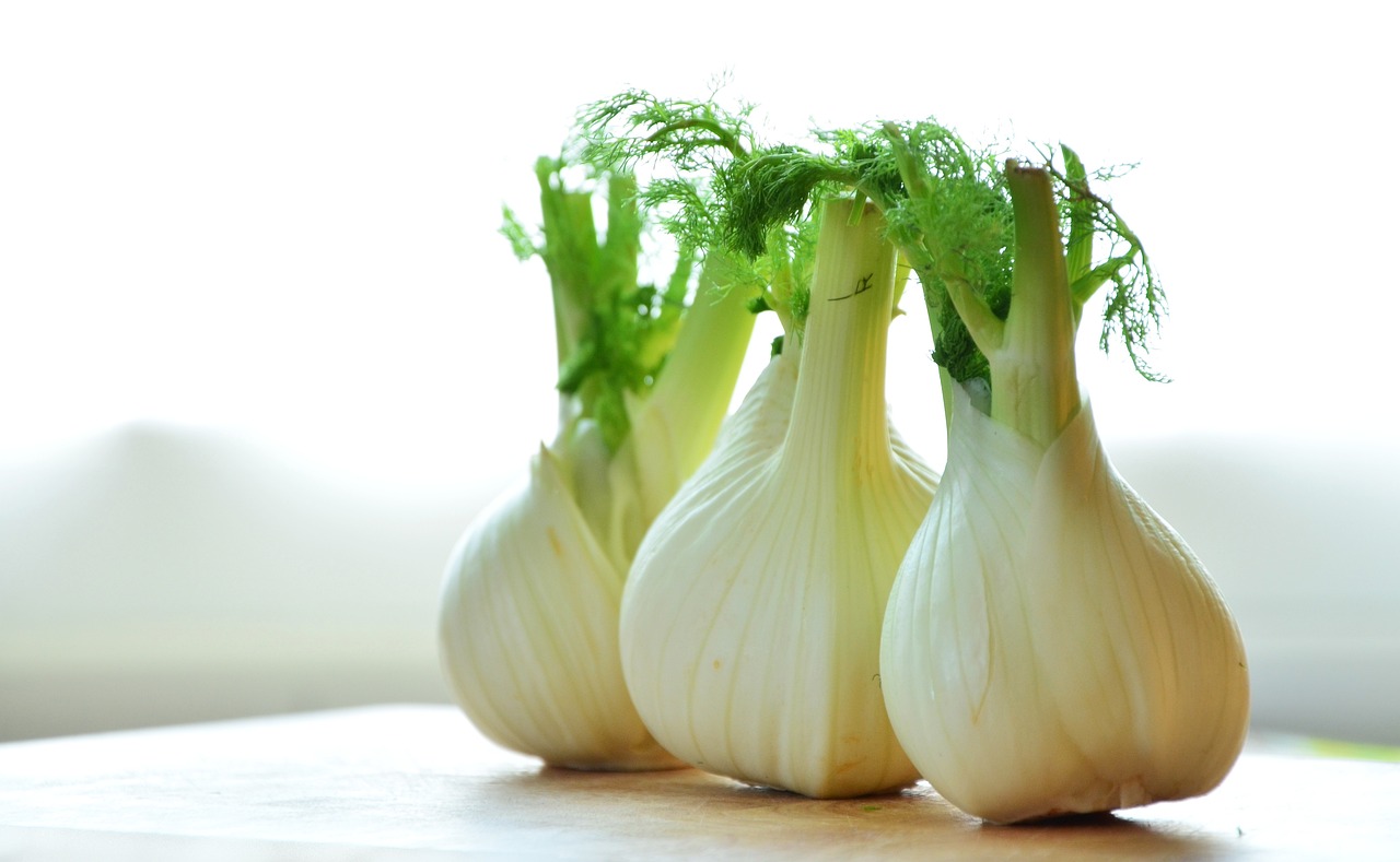 fennel-1311691_1280.jpg