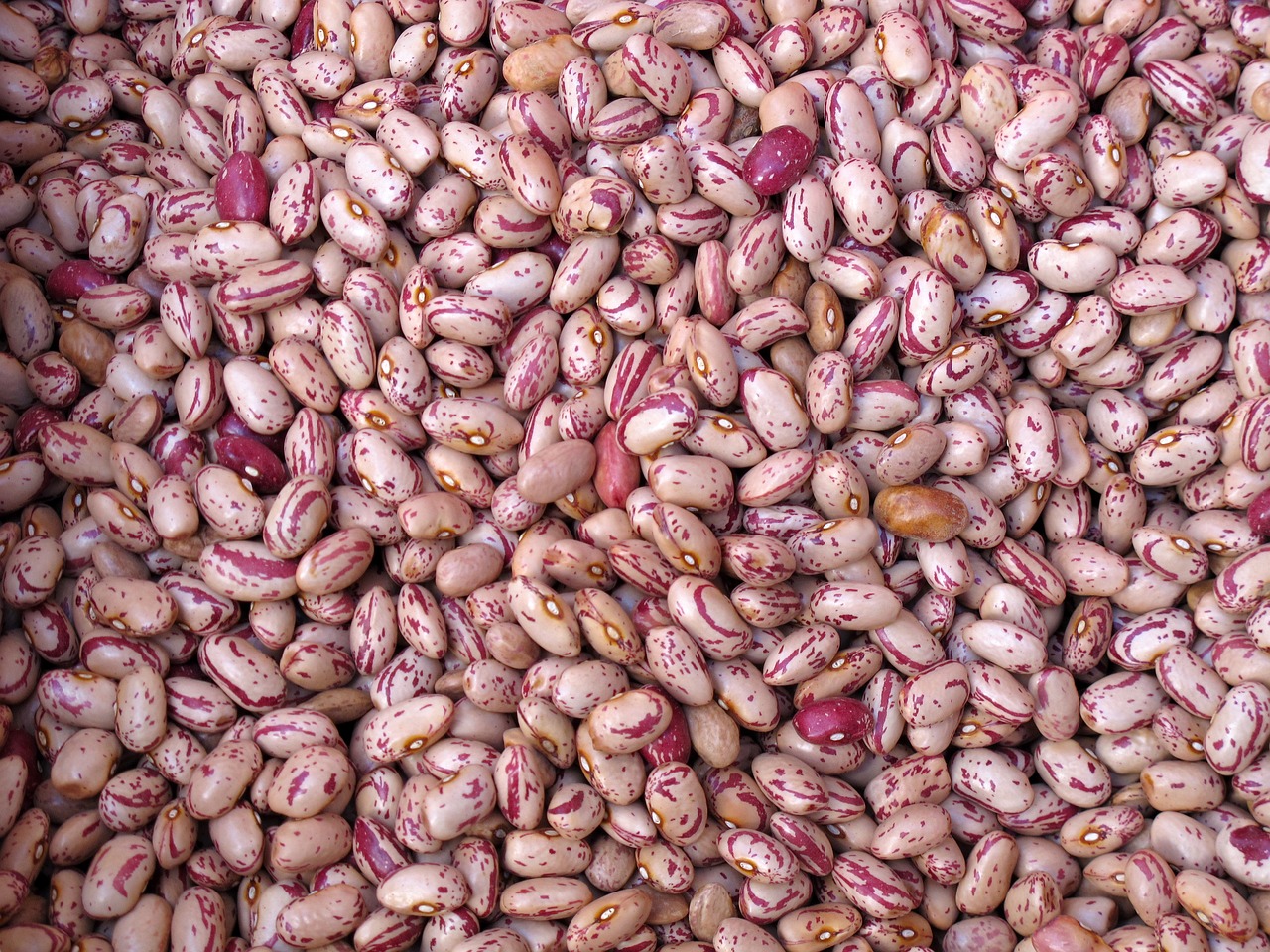 beans-557268_1280.jpg