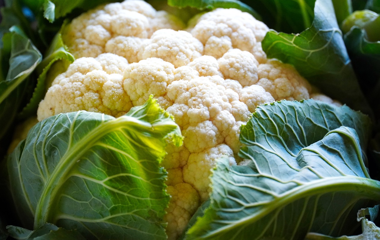 cauliflower-5538616_1280.jpg