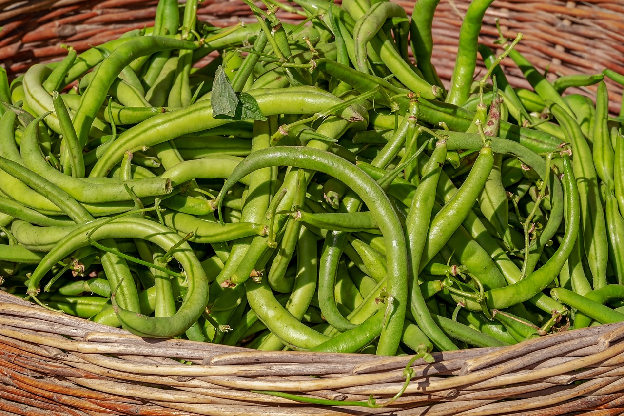 bush-beans-3702999_1280.jpg