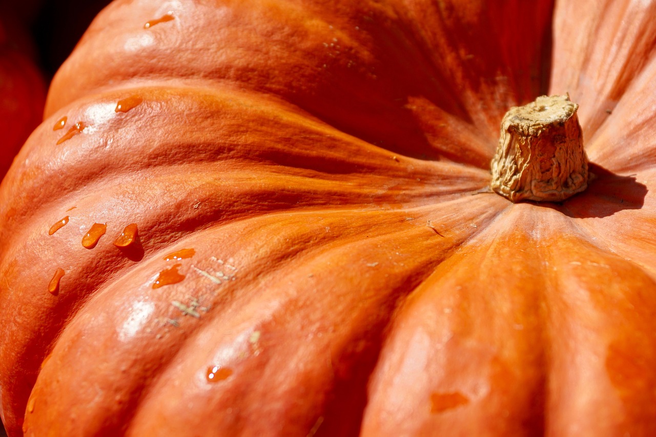 pumpkin-2736964_1280.jpg