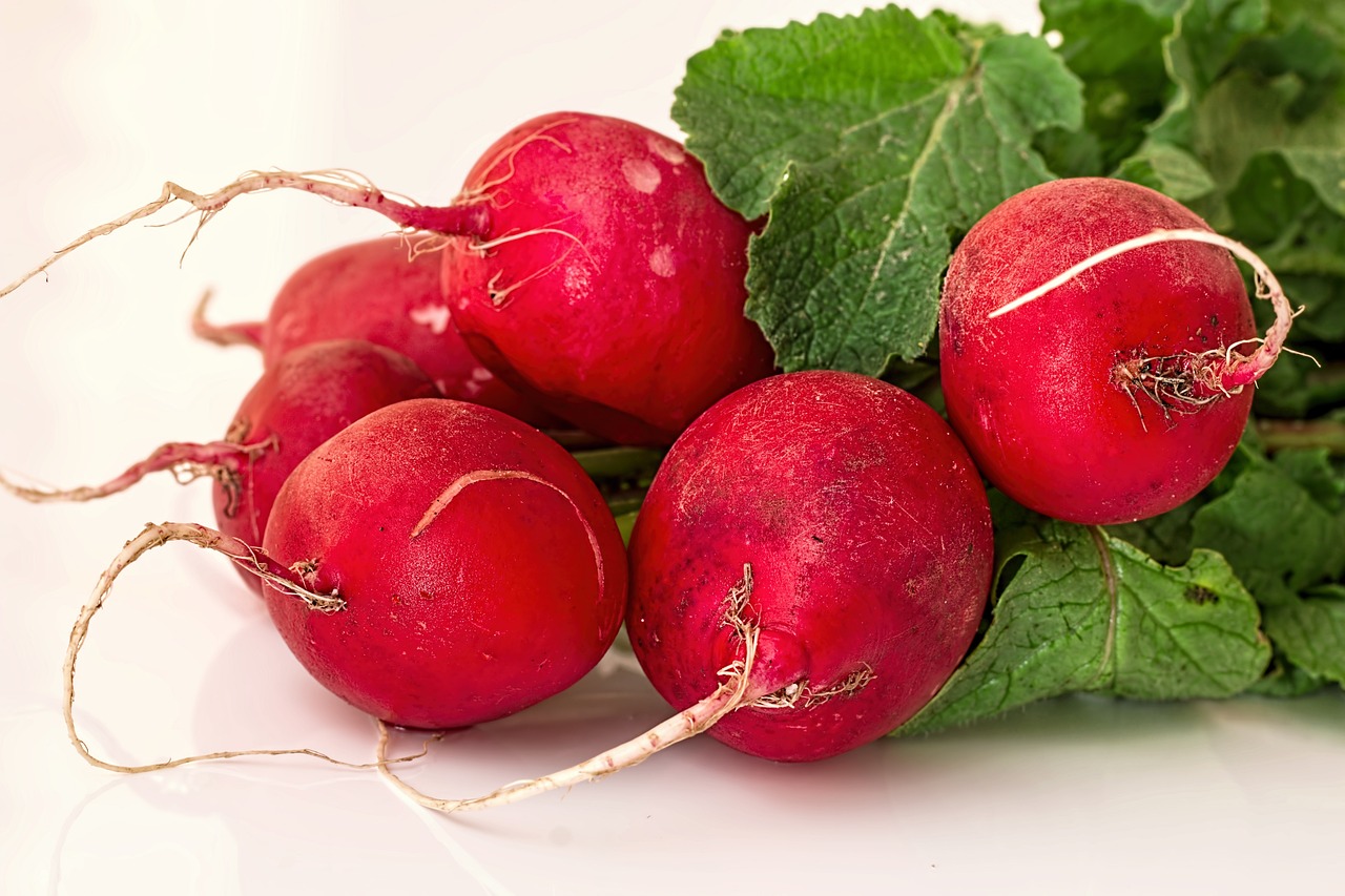 radish-1537141_1280.jpg