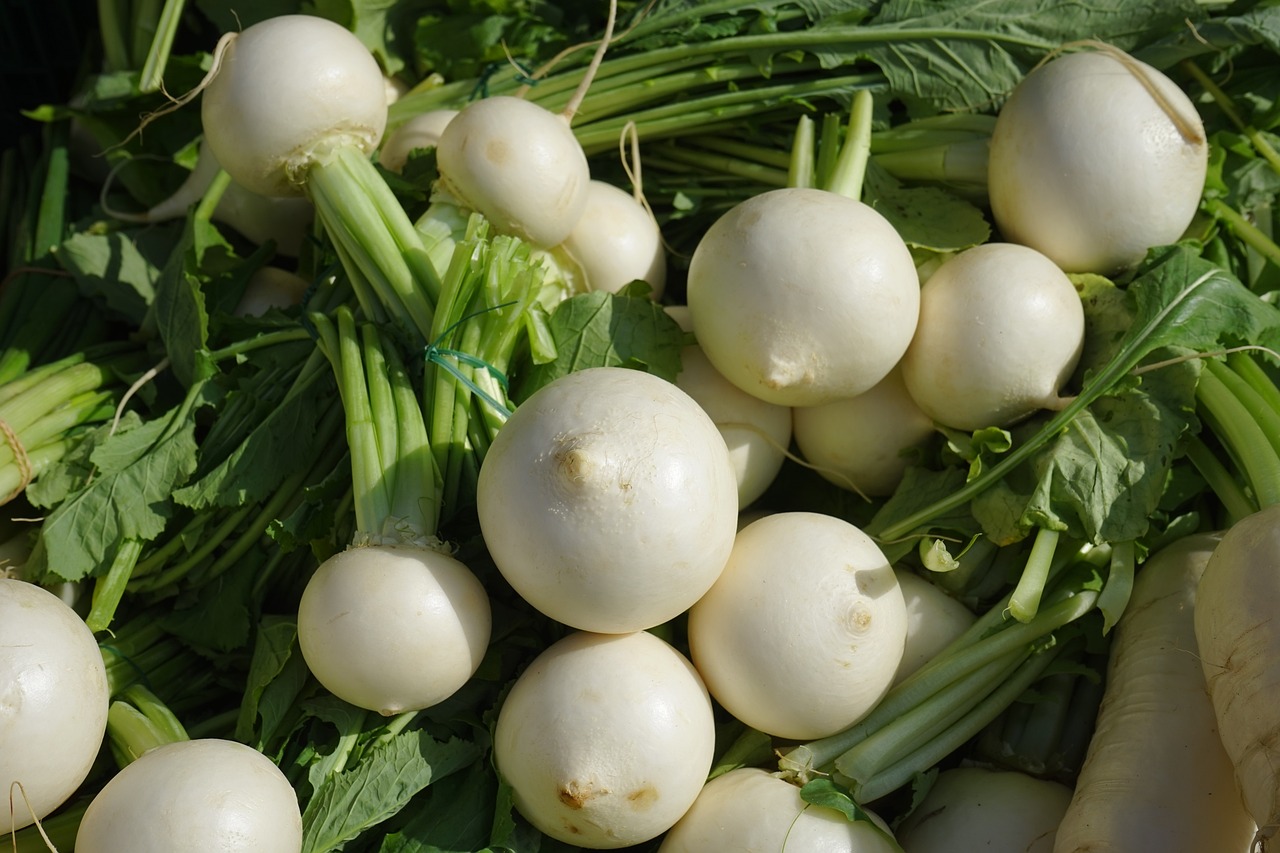 turnip-318148_1280.jpg