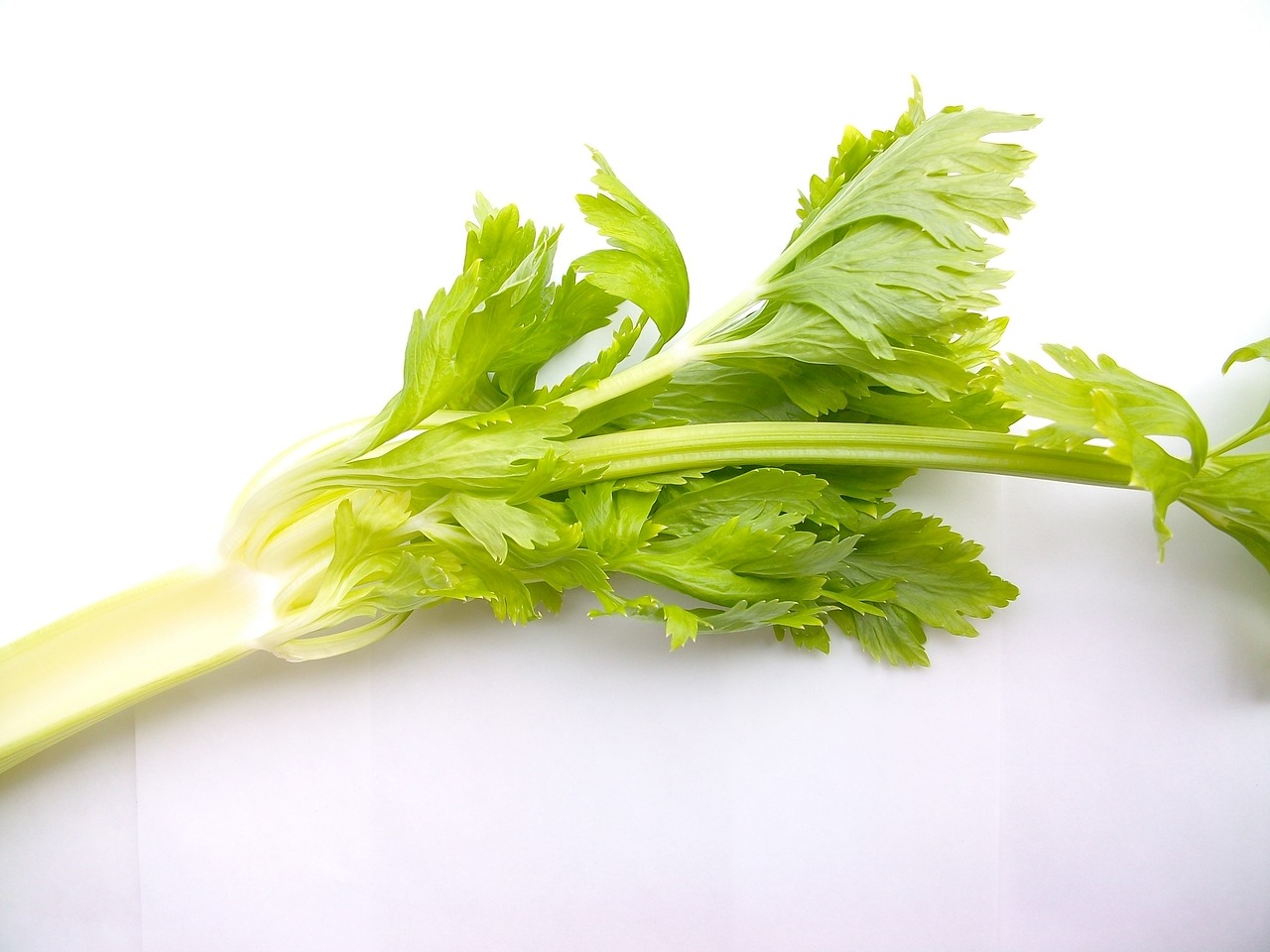 vegetable-2085017_1280.jpg