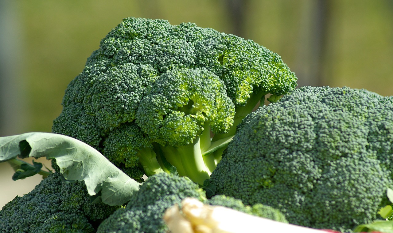 vegetables-673181_1280.jpg