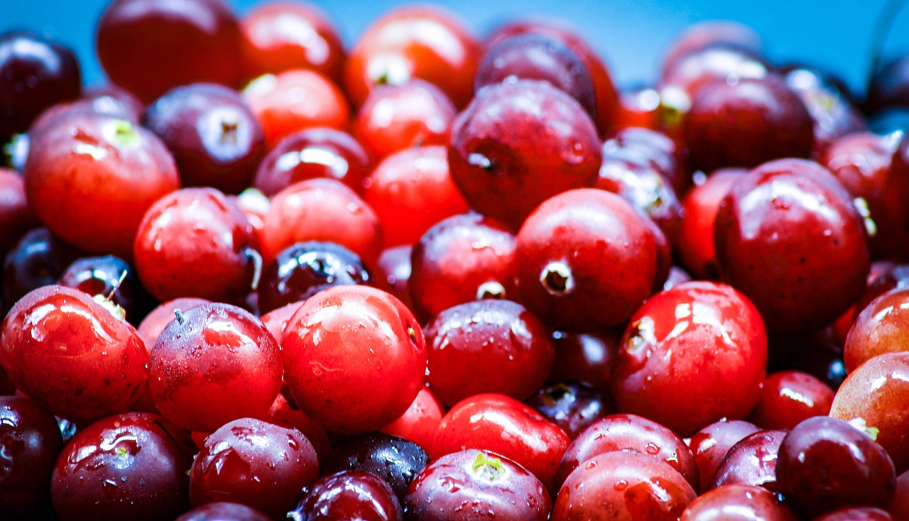 food-4521744_1280.jpg