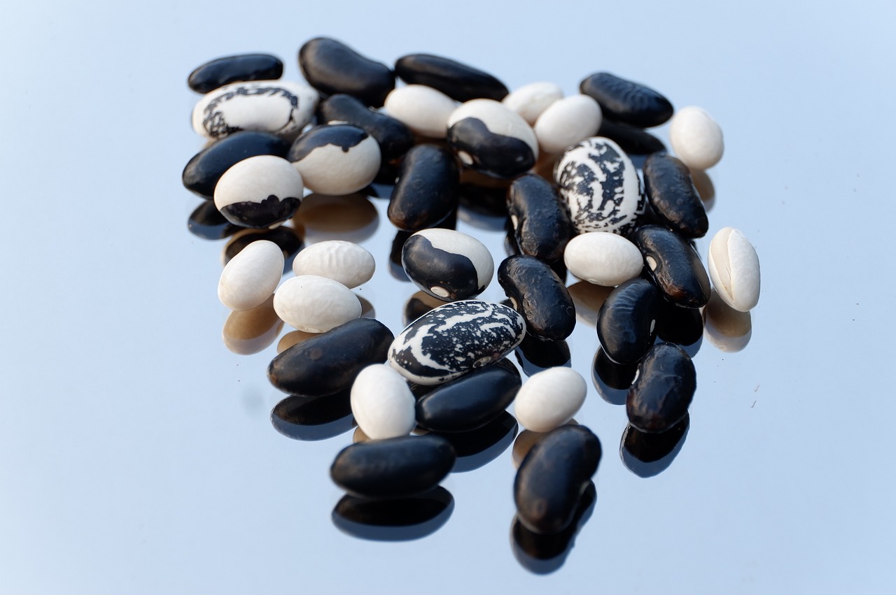 beans-3631985_1280.jpg