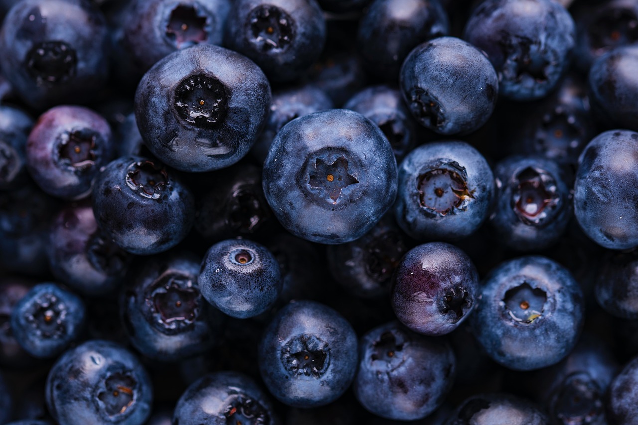 blueberries-5955833_1280.jpg