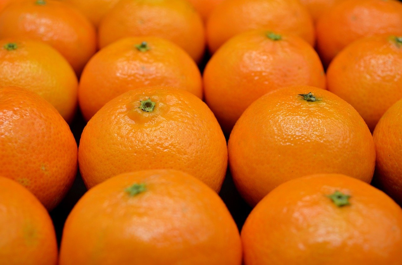 mandarins-8437425_1280.jpg