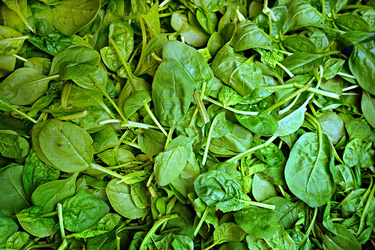 spinach-1522283_1280.jpg