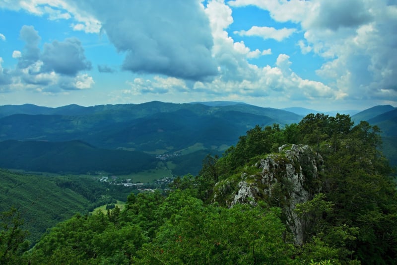 image_1740143682985996450.jpg