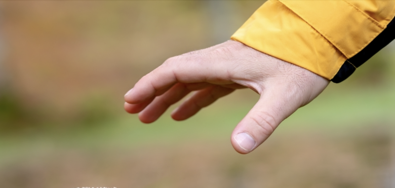 image_1740143686679021500.png
