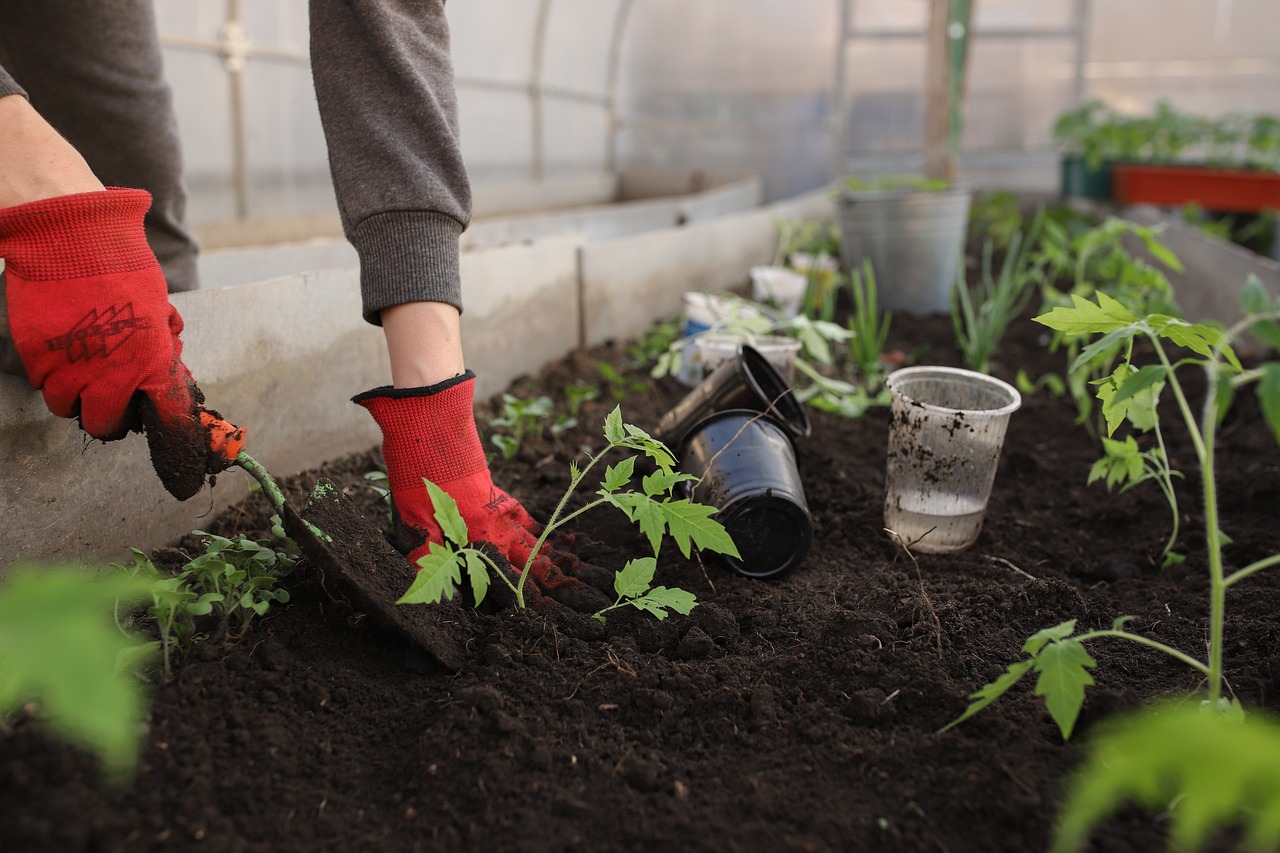 Greenhouse-G4D60691Ee 1280