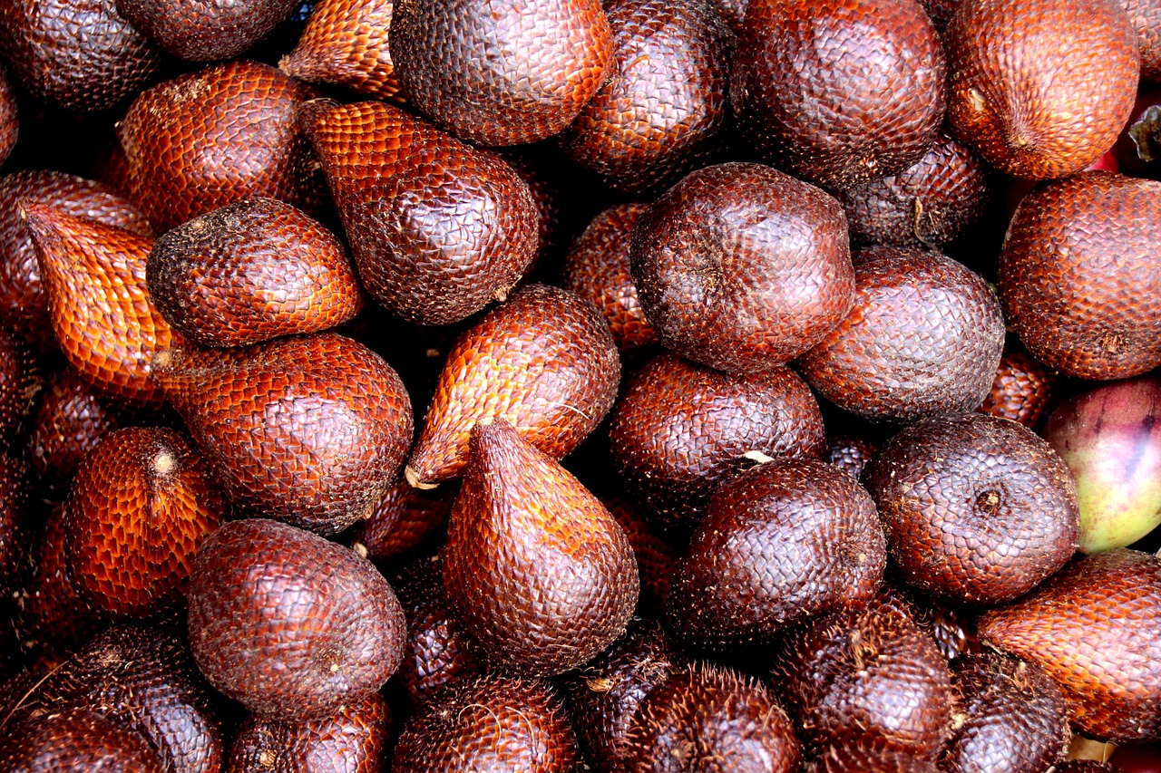 Salak-Ge89A4F7B8 1280