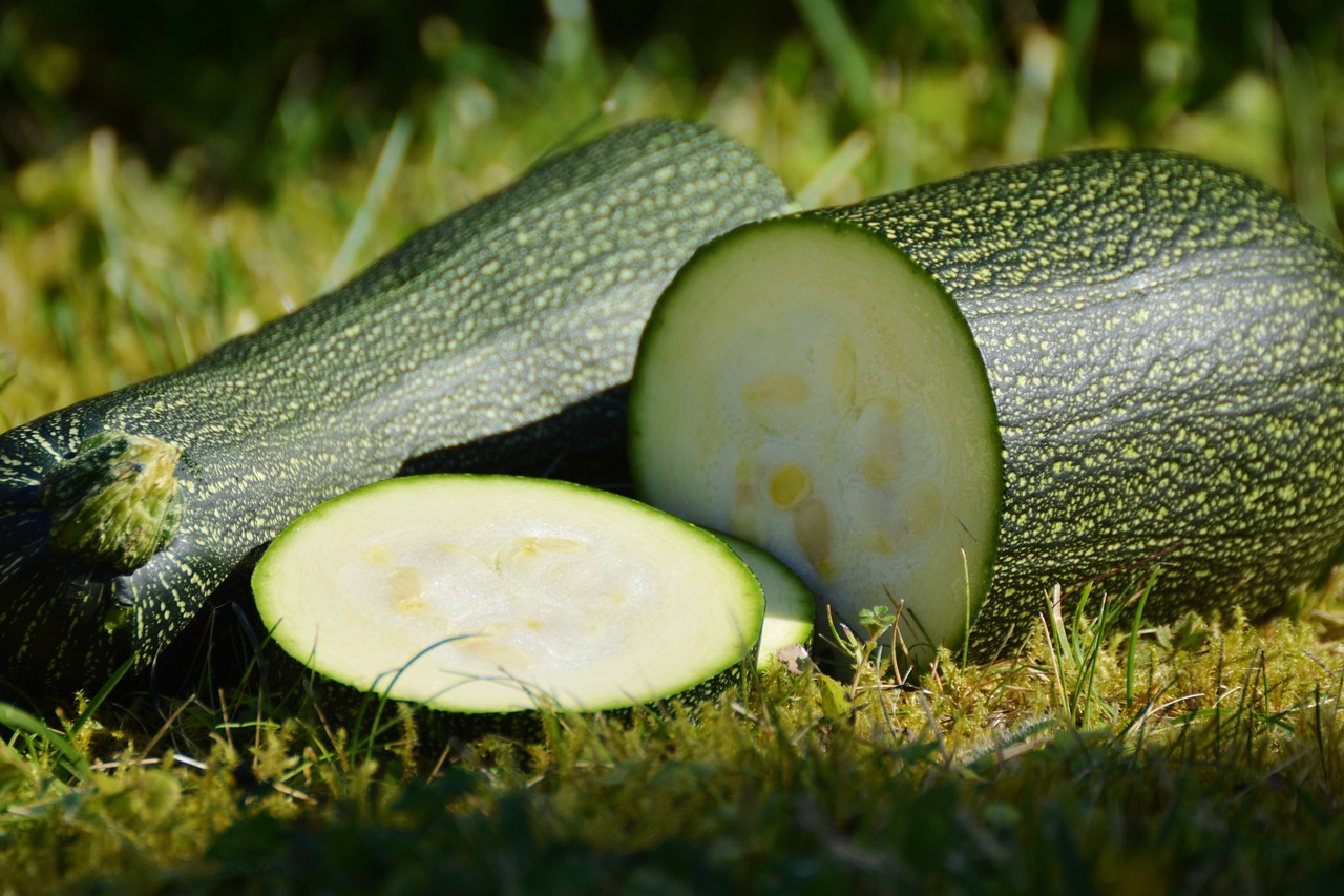 Zucchini-G38Cd446B6 1280