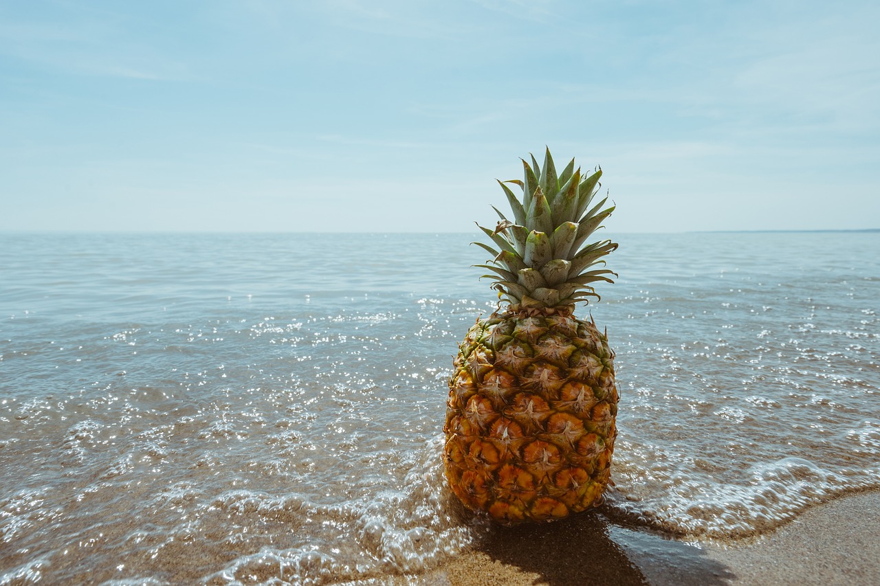 Pineapple-1834329 1280