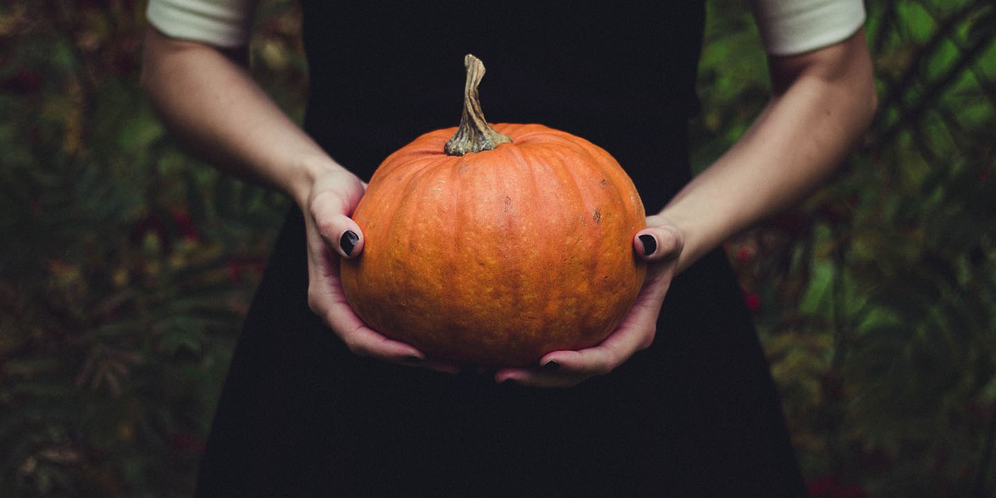 Pumpkin Recipes