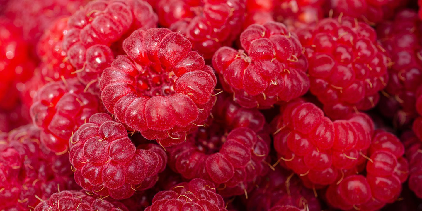 Berries
