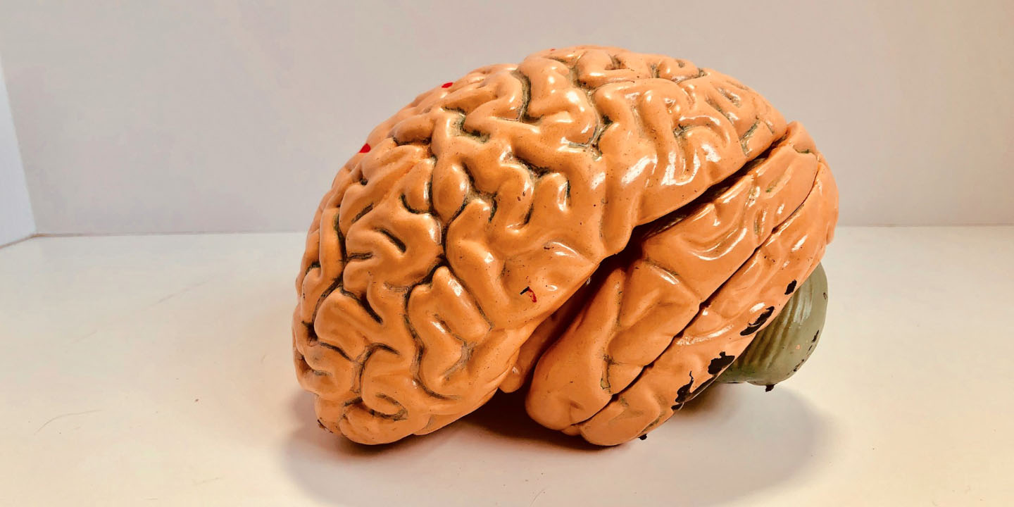 Brainfeat